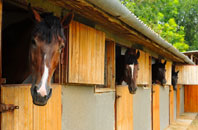free Foxford stable construction quotes